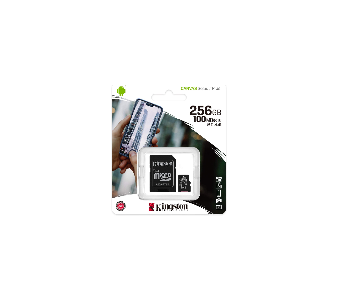 Kingston 256GB Canvas Select