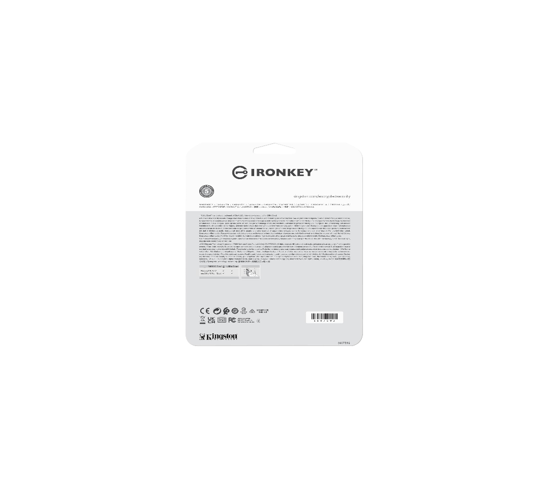 Kingston Ironkey Locker+ 50 256GB