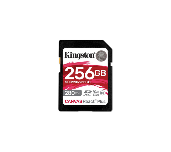 Kingston 256GB| Up to 280MB/s