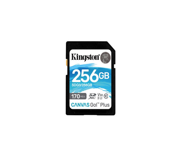 Kingston 256GB Canvas